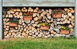 Stack of firewood decorated with potted plant